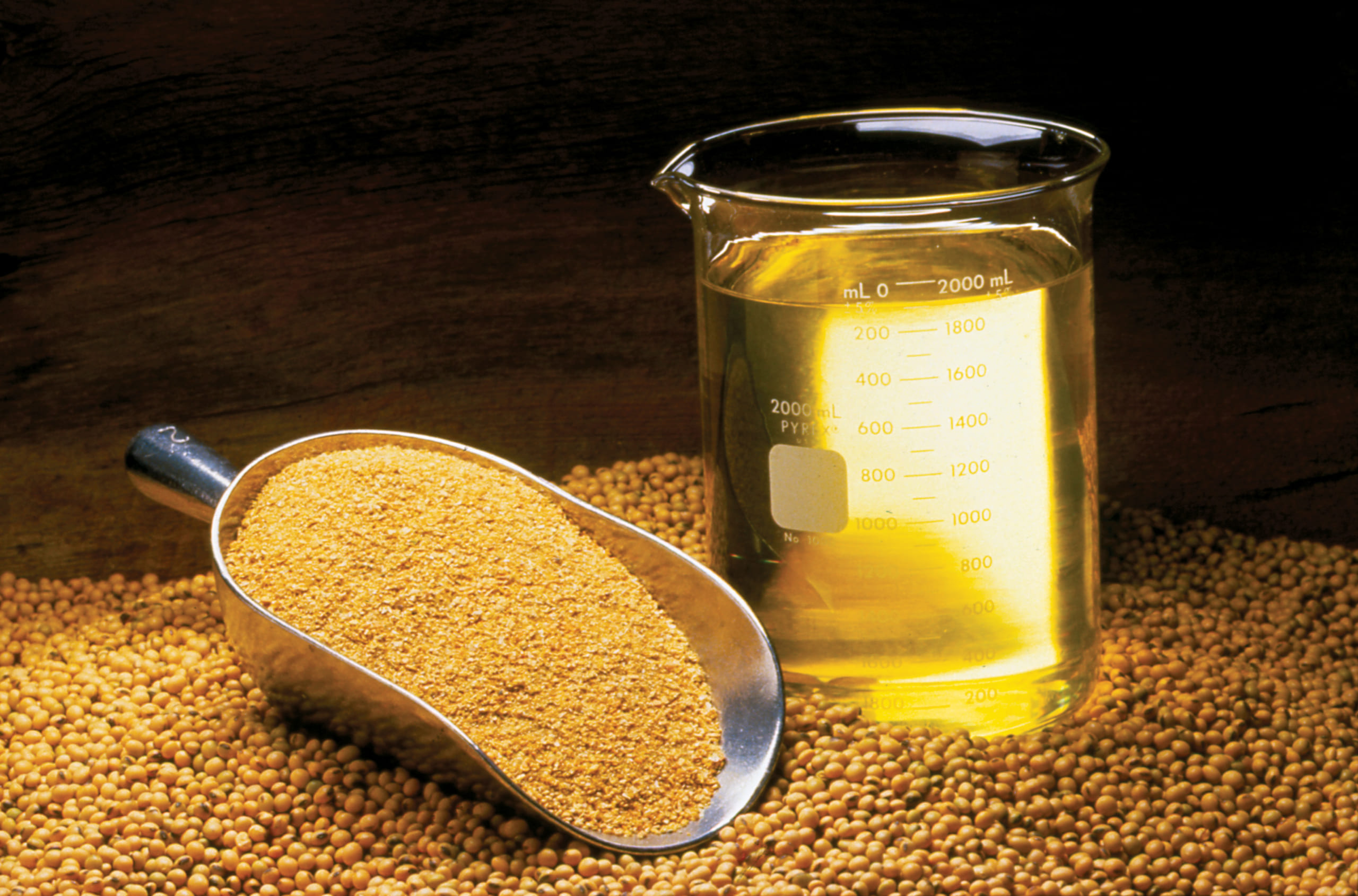 [SOYBEAN OIL] Top 5 Factors Influencing On Soybean Oil Prices