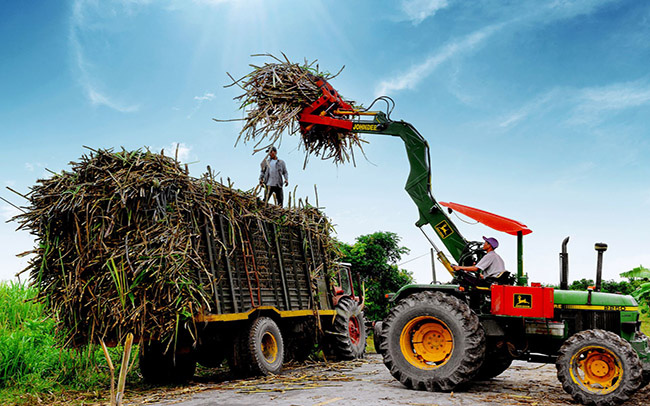 Malaysia: MSM Plans Sugarcane Cultivation To Boost Raw Sugar Security