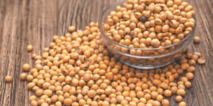[SOYBEAN] Soybean Basis Slumps On Weak Demand, Lower Freight