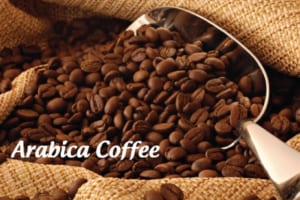 [COFFEE] Arabica Prices May Continue To Struggle Due to Dissent Fundamental Information