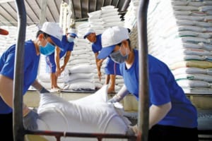 Gạo Việt Quay Đầu Giảm Giá Vẫn Đắt Nhất Thế Giới, Gạo Thái Lan Tăng Mạnh