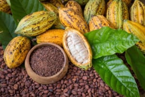Cocoa Gains Extended Overnight